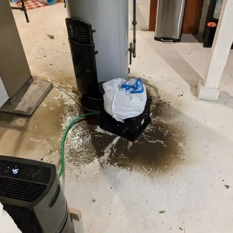Sewage Backup Cleanup Service in Littlefield, TX